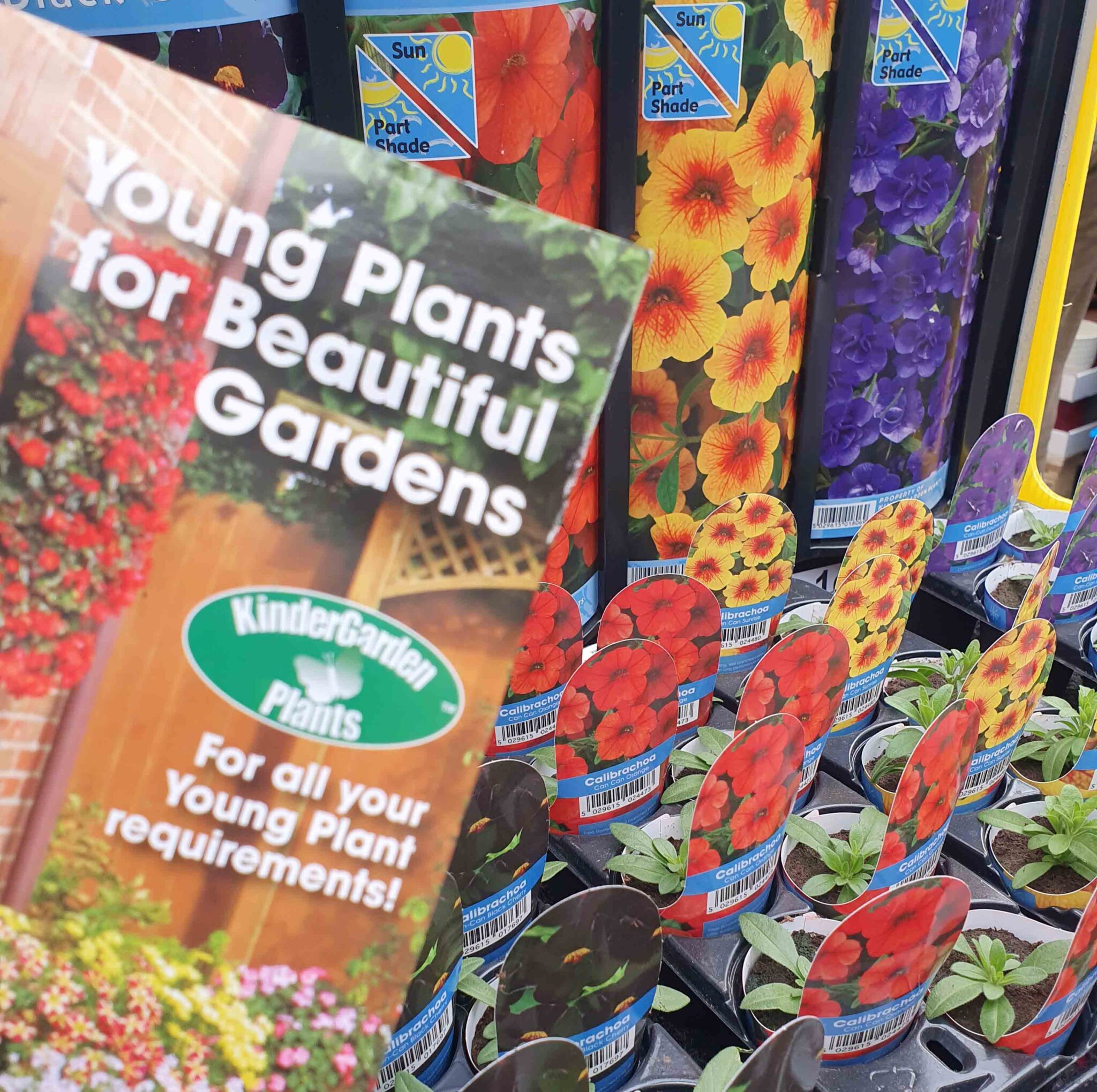 Plug Plants Dunston Hall Garden Centre