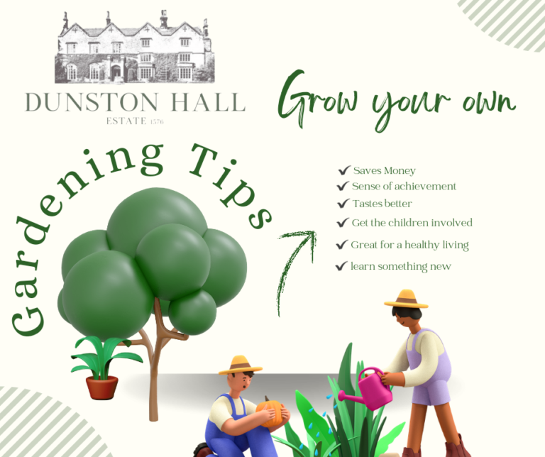 News Dunston Hall Garden Centre